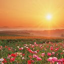 ���� �����, ��������, 38 ��� - ��������� 15 ������ 2013 � ������ ����� ��� ����))))�