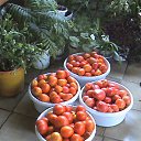 ������ 2013 �� ������� ���� ����������