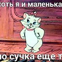 ���� ���������, ���������, 54 ���� - ��������� 5 ����� 2014 � ������ ������ ��������