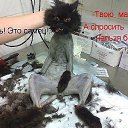 ���� ������, ������, 51 ��� - ��������� 19 ������� 2013 � ������ ���� ����������