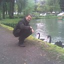 ���� ��������, ���������, 43 ���� - ��������� 28 �������� 2013 � ������ ���� ����������