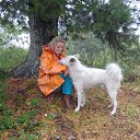 ���� ����, ����������� - ��������� 31 ������� 2013 � ������ ���� ����������