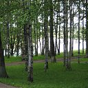 ���� �����, ���������, 64 ���� - ��������� 1 �������� 2013 � ������ ����������