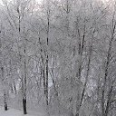 ��� �� ����� ���� �� ������� ����� ��� ������������