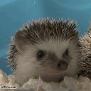 ���� �������, ������ �������� - ��������� 14 ������ 2013 � ������ ���� ����������