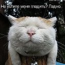 ���� �������, ������, 71 ��� - ��������� 20 ������ 2014 � ������ ������ ��������