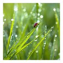 ���� ����, �������� - ��������� 4 �������� 2013 � ������ ��������, �����������