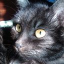 ���� �������, ������, 58 ��� - ��������� 5 ����� 2014 � ������ ���� ����������