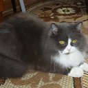 ���� ������, ������������ - ��������� 8 �������� 2013 � ������ ���� ����������