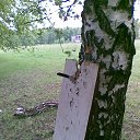 ���� ���������, ������, 48 ��� - ��������� 26 ������� 2013 � ������ ���� ����������