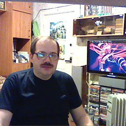 , 53 , 