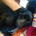 ���� �������, ���������, 33 ���� - ��������� 24 �������� 2013 � ������ ���� ����������