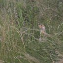 ���� ������, �������� - ��������� 18 �������� 2013 � ������ ���� ����������