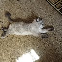 ��������� �� ������� ���� ����������