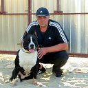 ���� �������, ������, 46 ��� - ��������� 3 �������� 2013