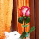 ���� ���� Beautiful, ������� - ��������� 16 ������� 2014 � ������ ���� ������� ���