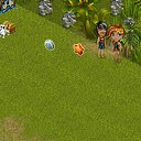 ���� ����, ������, 55 ��� - ��������� 11 �������� 2013 � ������ �Tropikania�