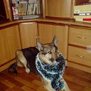 ���� ������ ��������� ����� ���!!)) �� ������� ������ ��������