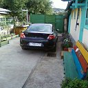 ���� �������� ���������, ����, 83 ���� - ��������� 7 ������� 2013 � ������ ���� ����������