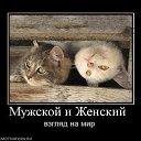 ���� Enohcka, ������������ - ��������� 25 ������ 2013 � ������ �������