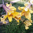 ���� Valechka, �����, 60 ��� - ��������� 10 ������ 2014 � ������ ���� ����������