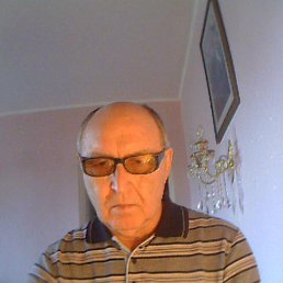 ���� ��������, �����-���������, 81 ��� - ��������� 6 ������ 2013