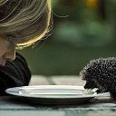 ���� ���������, �����������, 60 ��� - ��������� 1 ������� 2013 � ������ ���� ����������