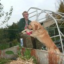 ���� ����, �����-���������, 41 ��� - ��������� 18 ������ 2013 � ������ ���� ���� ������