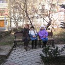  , , 56  -  20  2014   , 