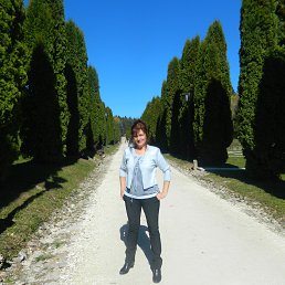 � � ������� ����������� ������� 2013 �.