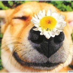 ���� �����, ����-����������� - ��������� 19 ������� 2013