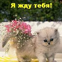 ���� �����, ������������, 73 ���� - ��������� 6 ������� 2013 � ������ ���� ����������