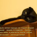 ���� ������, �����, 53 ���� - ��������� 10 ����� 2014 � ������ �������