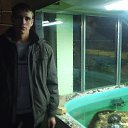 ���� ��������, �����������, 36 ��� - ��������� 26 ������ 2014 � ������ ���� ����������