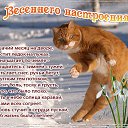 ���� �����, �������, 50 ��� - ��������� 9 ����� 2014 � ������ ������ ��������