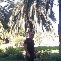 ���� ��������, ���������, 39 ��� - ��������� 27 �������� 2013