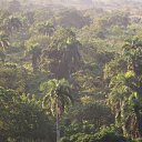 ���� ����, �����-��������� - ��������� 20 �������� 2013 � ������ ���� ����������