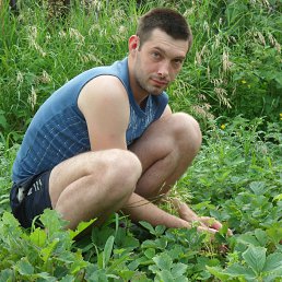 ���� ����, ����������, 38 ��� - ��������� 14 �������� 2013