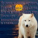 ���� �������� - ������ �������� �� ��������!!!!!!!!, ������ - ��������� 1 ������� 2013 � ������ ���� ����������