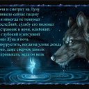 ���� �����, ���� - ��������� 24 ������� 2013