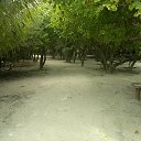 ���� Ash, ������ - ��������� 13 ������� 2013 � ������ �Maldives�
