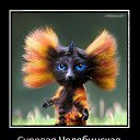 ���� Z����, �����������, 54 ���� - ��������� 24 ������� 2014 � ������ ���� ����������