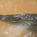 ���� ����, �����-��������� - ��������� 2 ������� 2013 � ������ ���� ����������