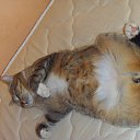 ���� �������, ������, 45 ��� - ��������� 8 ����� 2014 � ������ ���� ����������