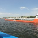 ���� ������, ������ ��������, 41 ��� - ��������� 8 ������� 2013 � ������ ������ ��������