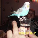 � ����� �� ���� ����������. �� ������� ���� ����������