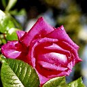 ���� ������, ������, 58 ��� - ��������� 11 ������� 2013 � ������ ���� ����������