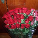���� ��������, ������ - ��������� 5 ����� 2014 � ������ ���� ����������