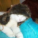 ���� ����, ������ �����, 30 ��� - ��������� 31 ������� 2013 � ������ ���� �����������