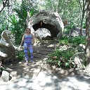  , -, 64  -  29  2014   ,  2014 